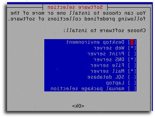 Hur man installerar program i Debian Linux. Öppna ett root-shell / terminal.