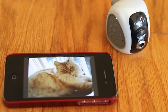 Hur att övervaka din lägenhet med en webbkamera på semester. Skaffa programvara videoinspelning.