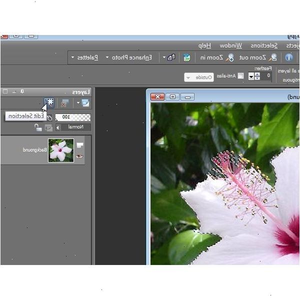 Hur man gör semi genomskinliga blommor i Paint Shop Pro. Skapa en 300 x 300 ny bild med en vit bakgrund.