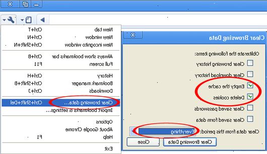 Hur att rensa webbläsarens cookies. Markera eller avmarkera ytterligare aspekter av din webbhistorik.