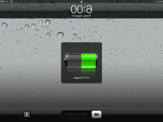 Hur att förlänga batteritiden på en ipad. Stäng av och mobildata (iPad + 3g) inställningar.